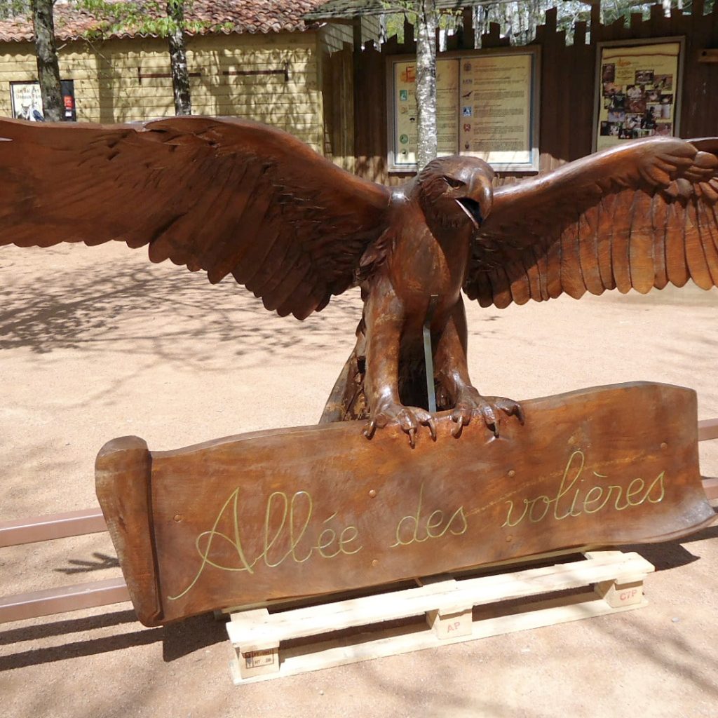 Aigle dans le parc après restauration