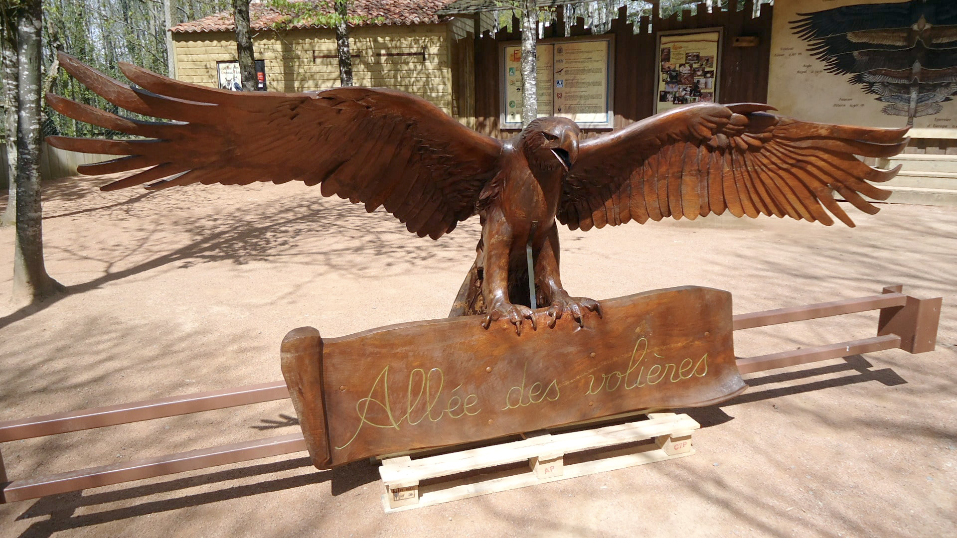 Aigle dans le parc après restauration