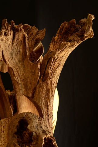 Sculpture dévoilement bois vieilli