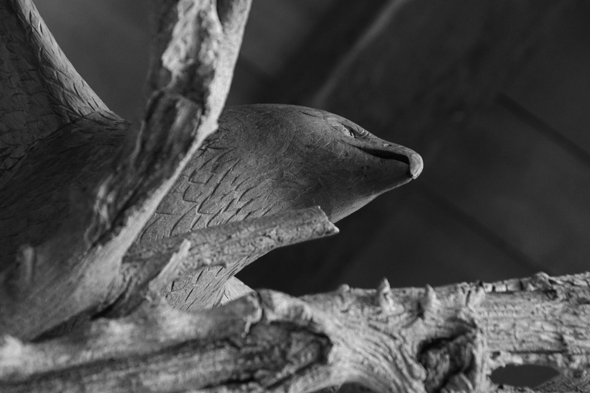 Sculpture en bois, aigle vue de dessous