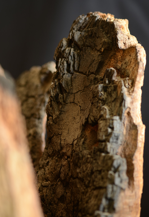 Détail de la sculpture sur bois