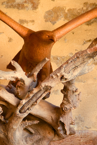 Aigle en bois perché sur une branche, sculpture