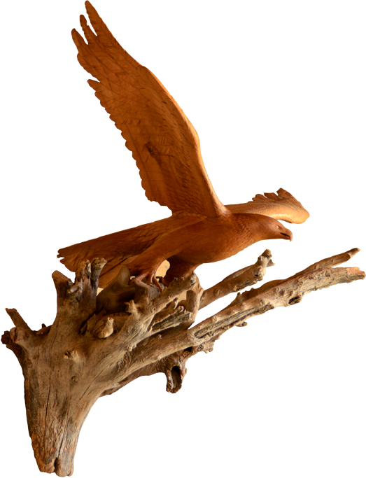 Scculpture sur bois d'un aigle